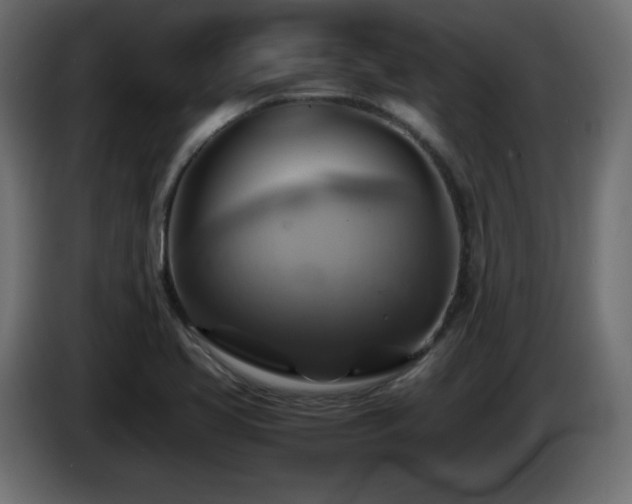 X0000087011413200704161533