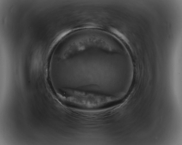 X0000087011415200704161533
