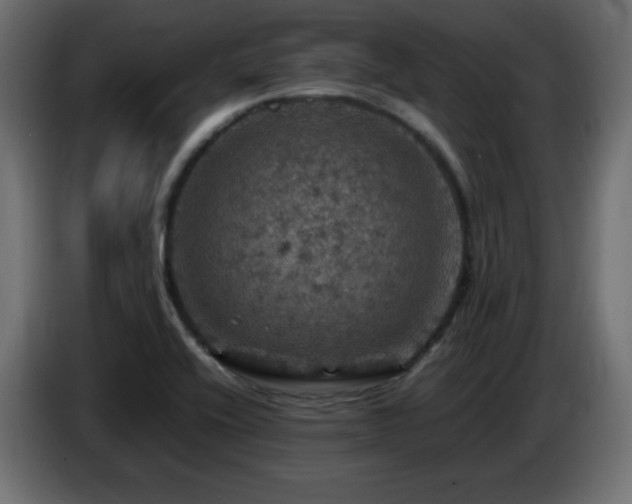 X0000087011416200704161533