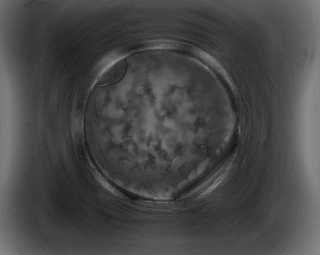 X0000087011417200704161533
