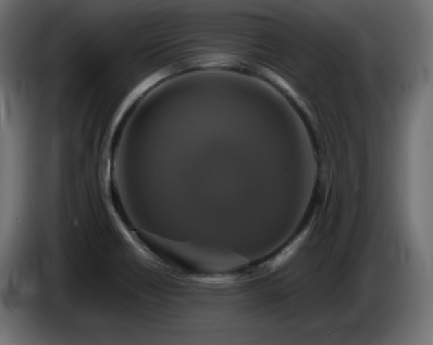 X0000087011418200704161533