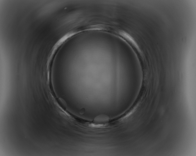 X0000087011419200704161533
