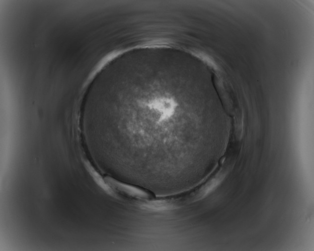 X0000087011422200704161534
