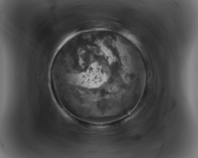 X0000087011423200704161534