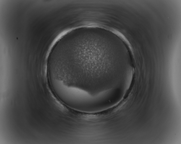 X0000087011424200704161534