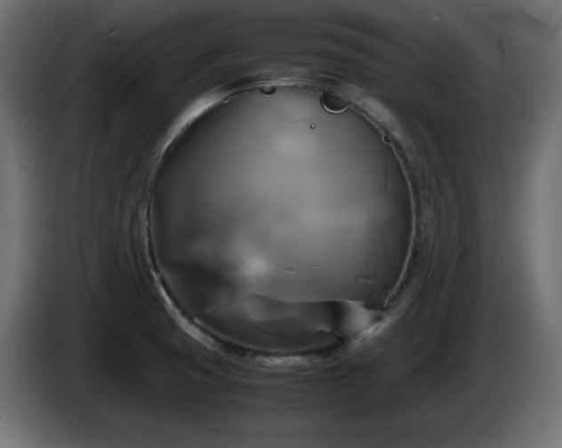 X0000087011425200704161534