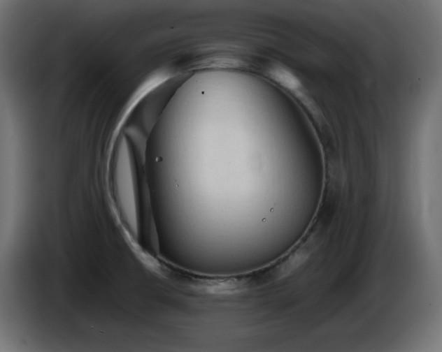 X0000087011426200704161534