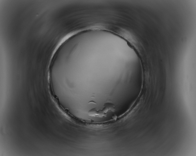 X0000087011428200704161534