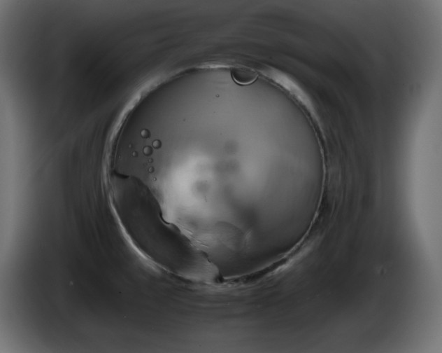 X0000087011429200704161534