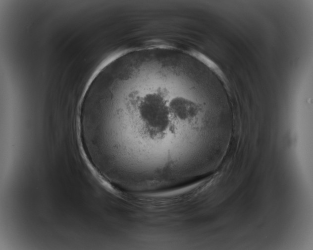 X0000087011431200704161534