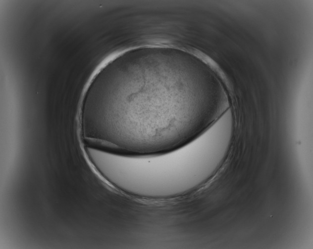 X0000087011432200704161534