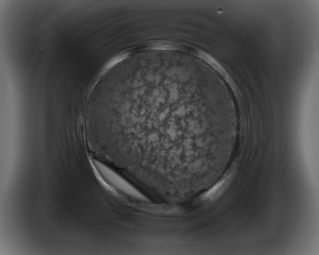 X0000087011433200704161534