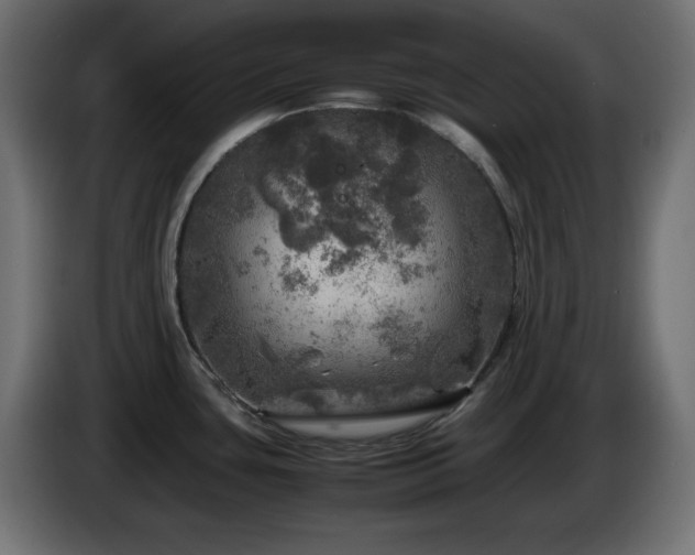 X0000087011435200704161534