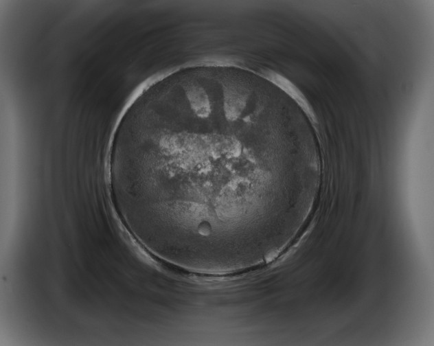 X0000087011436200704161534