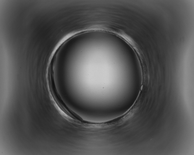 X0000087011438200704161534