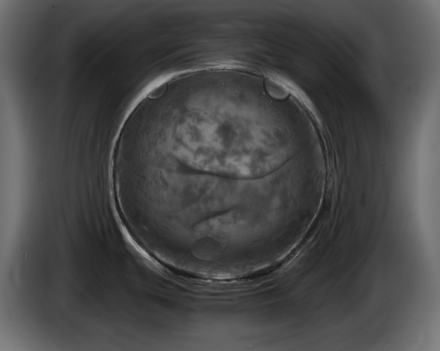 X0000087011439200704161534
