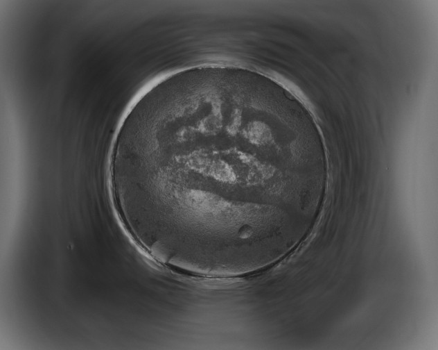 X0000087011440200704161534