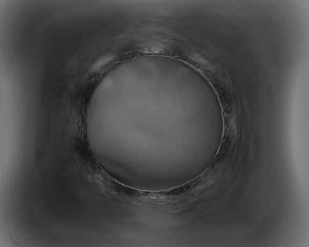 X0000087011446200704161533