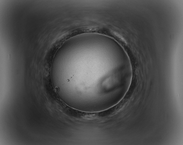 X0000087011447200704161533