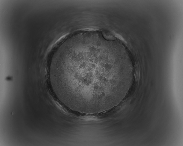 X0000087011448200704161533