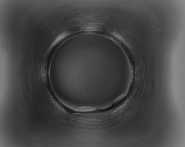 X0000087011450200704161533