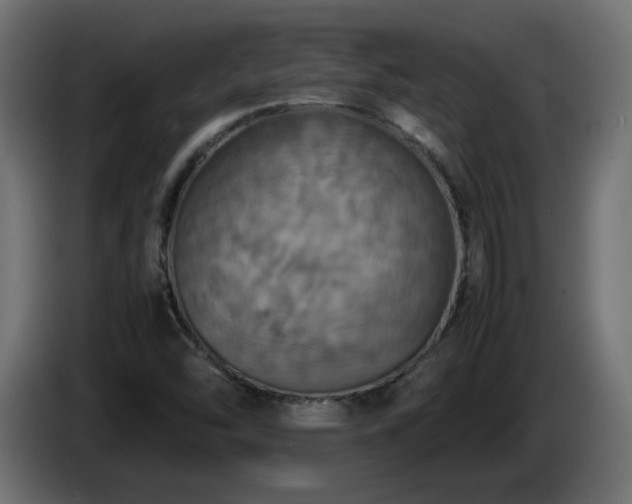 X0000087011454200704161533