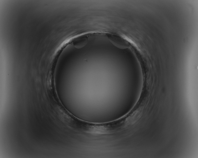X0000087011455200704161533