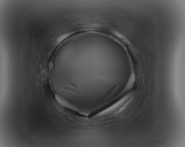 X0000087011457200704161533
