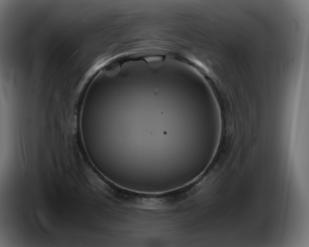 X0000087011459200704161533