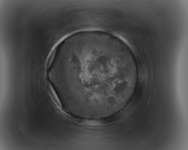 X0000087011460200704161533