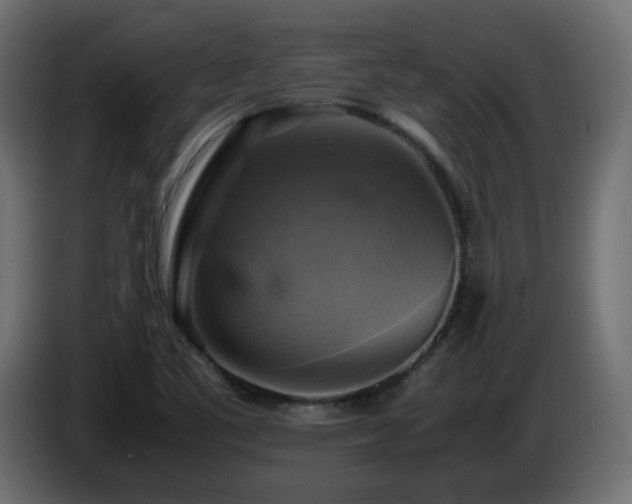 X0000087011461200704161533