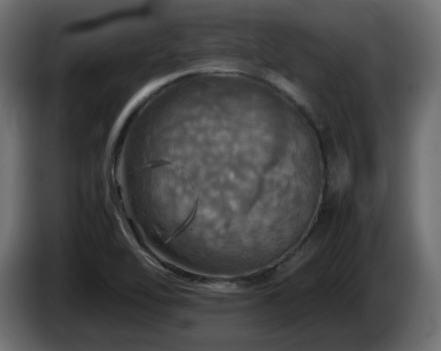 X0000087011462200704161533