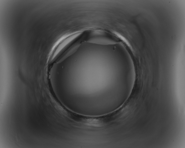 X0000087011463200704161533