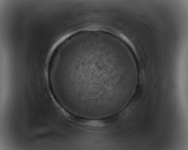 X0000087011464200704161533
