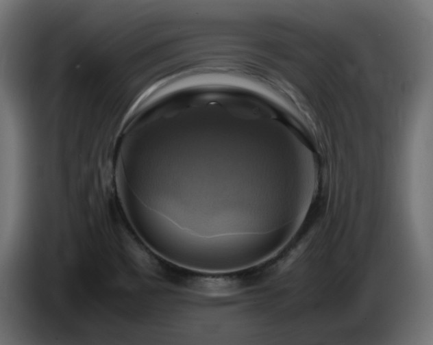 X0000087011465200704161533