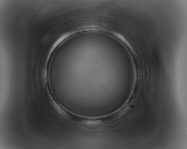 X0000087011466200704161533