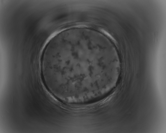 X0000087011467200704161533