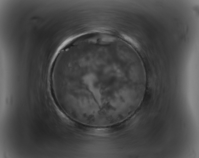 X0000087011471200704161533