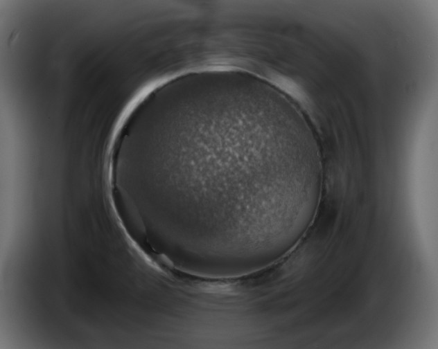 X0000087011472200704161533
