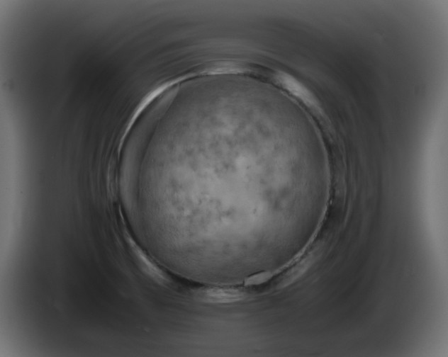 X0000087011473200704161533