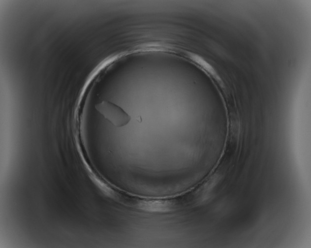 X0000087011474200704161533
