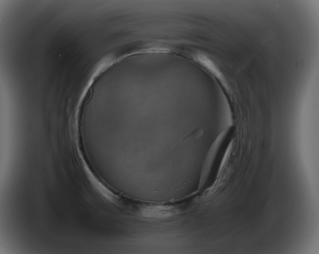 X0000087011475200704161533