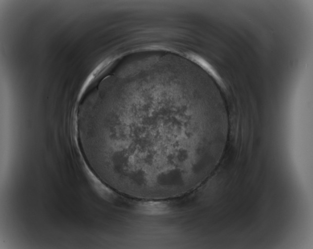X0000087011476200704161533