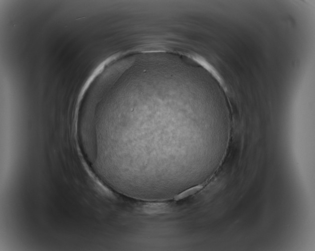 X0000087011477200704161533