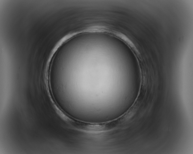 X0000087011478200704161533