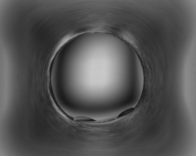 X0000087011479200704161533