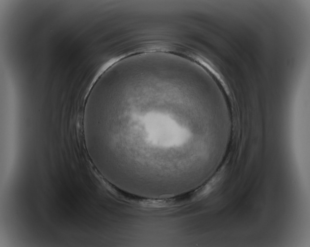X0000087011481200704161533