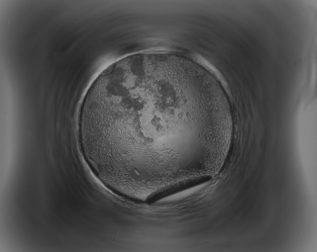 X0000087011483200704161533