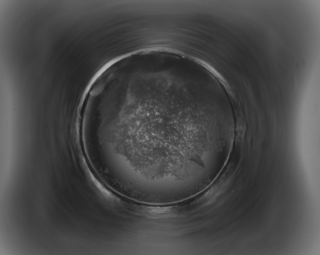 X0000087011484200704161533