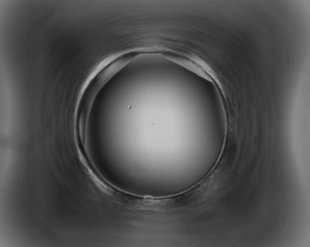 X0000087011485200704161533